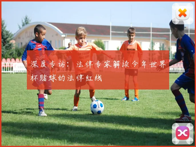 深度专访：法律专家解读今年世界杯赌球的法律红线