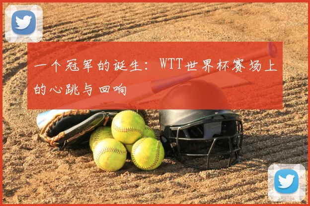 一个冠军的诞生:WTT世界杯赛场上的心跳与回响