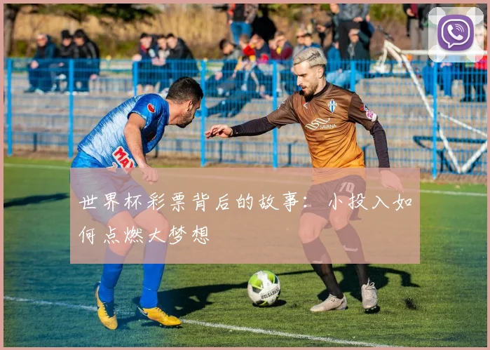 世界杯彩票背后的故事：小投入如何点燃大梦想
