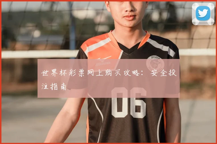 世界杯彩票网上购买攻略：安全投注指南