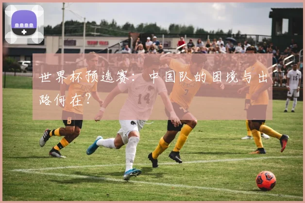世界杯预选赛：中国队的困境与出路何在？